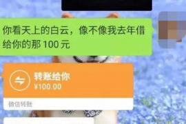 三亚为什么选择专业追讨公司来处理您的债务纠纷？